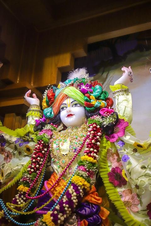 Sri Sri Gaura Nitai decorated for Gaur Purnima at ISKCON Satara — photo 1 of 17
