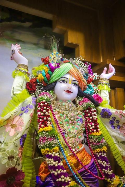 Sri Sri Gaura Nitai decorated for Gaur Purnima at ISKCON Satara — photo 2 of 17