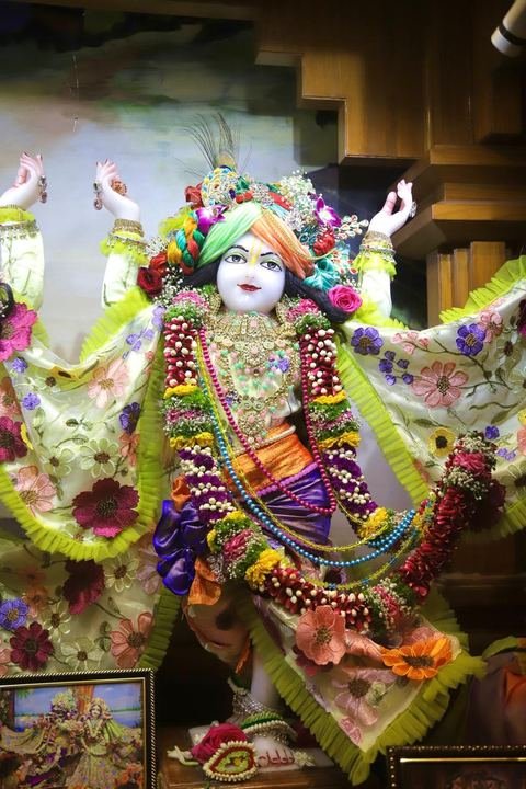 Sri Sri Gaura Nitai decorated for Gaur Purnima at ISKCON Satara — photo 4 of 17