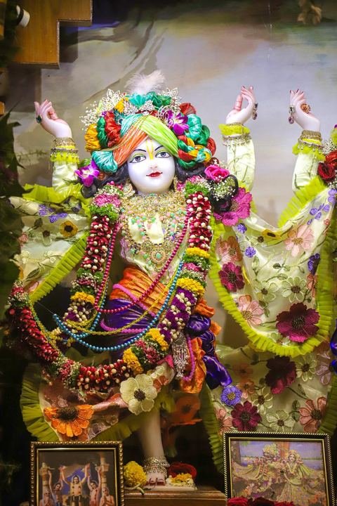 Sri Sri Gaura Nitai decorated for Gaur Purnima at ISKCON Satara — photo 5 of 17