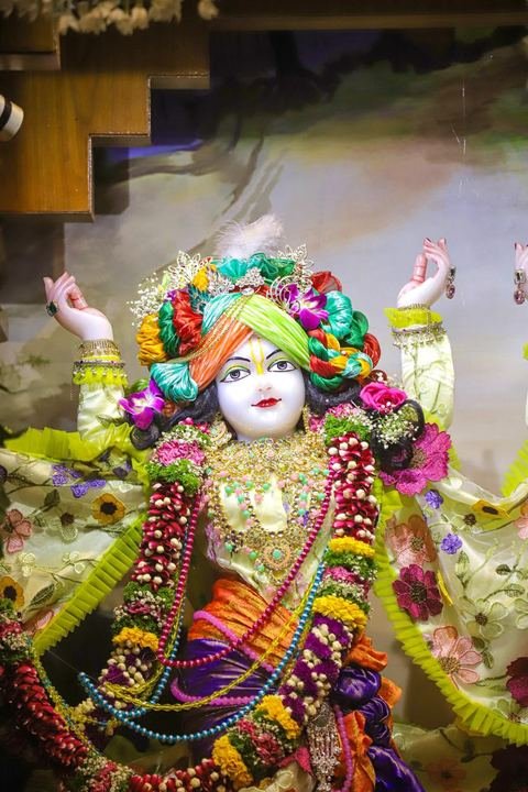 Sri Sri Gaura Nitai decorated for Gaur Purnima at ISKCON Satara — photo 6 of 17