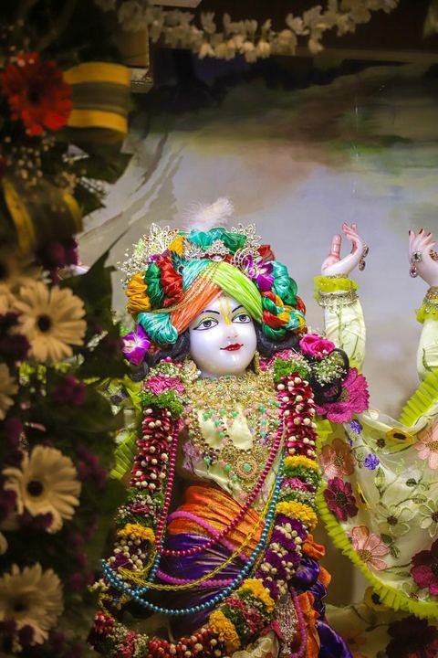 Sri Sri Gaura Nitai decorated for Gaur Purnima at ISKCON Satara — photo 7 of 17