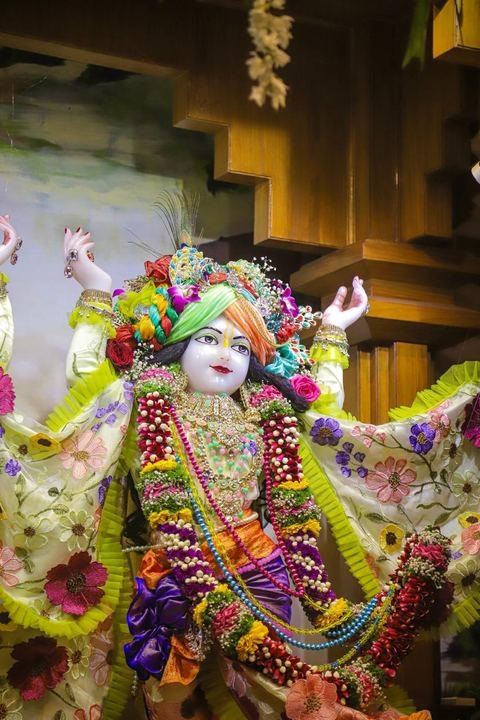 Sri Sri Gaura Nitai decorated for Gaur Purnima at ISKCON Satara — photo 9 of 17