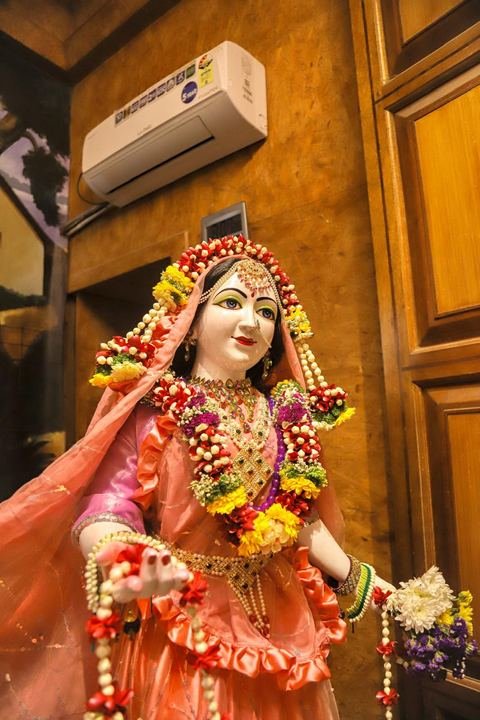 Sri Sri Gaura Nitai decorated for Gaur Purnima at ISKCON Satara — photo 10 of 17