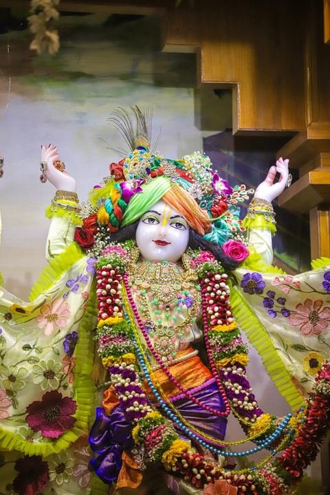 Sri Sri Gaura Nitai decorated for Gaur Purnima at ISKCON Satara — photo 11 of 17