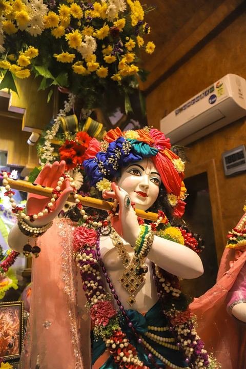 Sri Sri Gaura Nitai decorated for Gaur Purnima at ISKCON Satara — photo 12 of 17