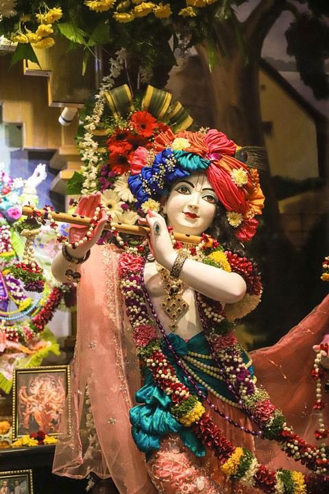 Sri Sri Gaura Nitai decorated for Gaur Purnima at ISKCON Satara — photo 14 of 17