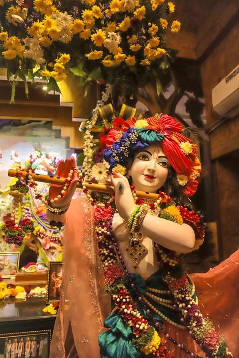 Sri Sri Gaura Nitai decorated for Gaur Purnima at ISKCON Satara — photo 15 of 17