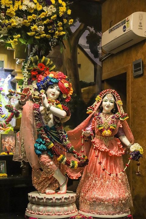 Sri Sri Gaura Nitai decorated for Gaur Purnima at ISKCON Satara — photo 16 of 17